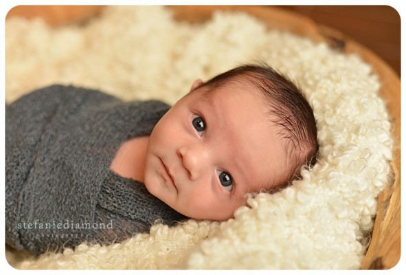 NJ newborn photographer