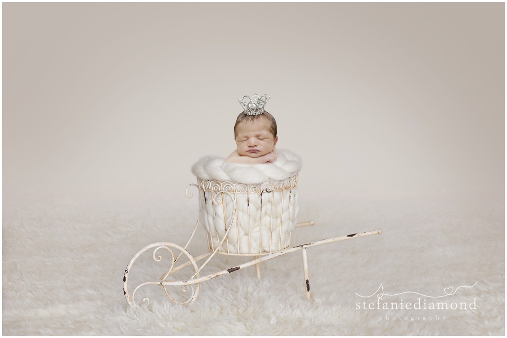 Bergen County Newborn Photographer