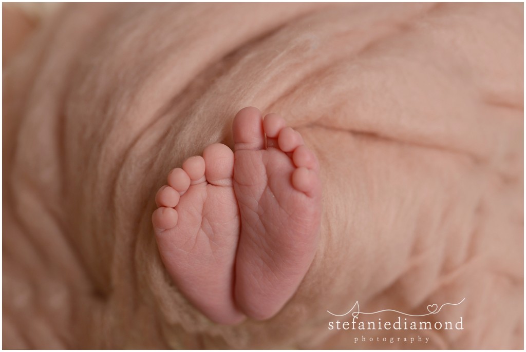 Bergen County Newborn Photographer