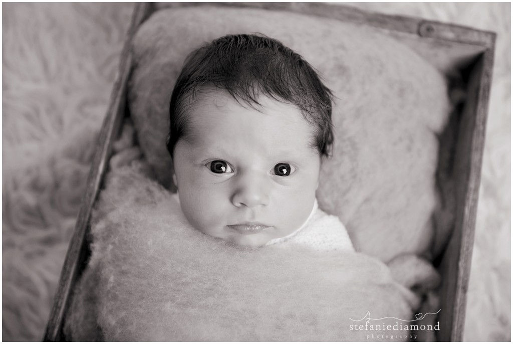 Bergen County Newborn Photographer